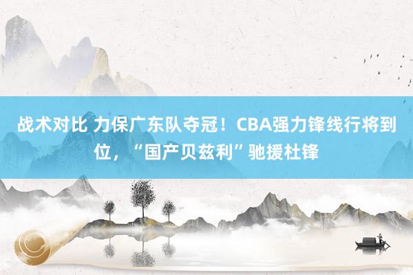 战术对比 力保广东队夺冠！CBA强力锋线行将到位，“国产贝兹利”驰援杜锋