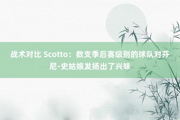 战术对比 Scotto：数支季后赛级别的球队对芬尼-史姑娘发扬出了兴味