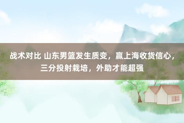 战术对比 山东男篮发生质变，赢上海收货信心，三分投射栽培，外助才能超强