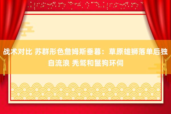 战术对比 苏群形色詹姆斯垂暮：草原雄狮落单后独自流浪 秃鹫和鬣狗环伺