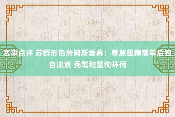 赛事点评 苏群形色詹姆斯垂暮：草原雄狮落单后独自流浪 秃鹫和鬣狗环伺